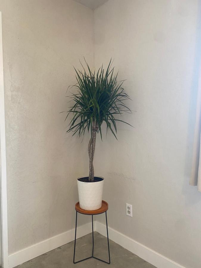 Casa Del Desierto - Panoramic Views - Pet Friendly - Fire Pit Vila Joshua Tree Exterior foto